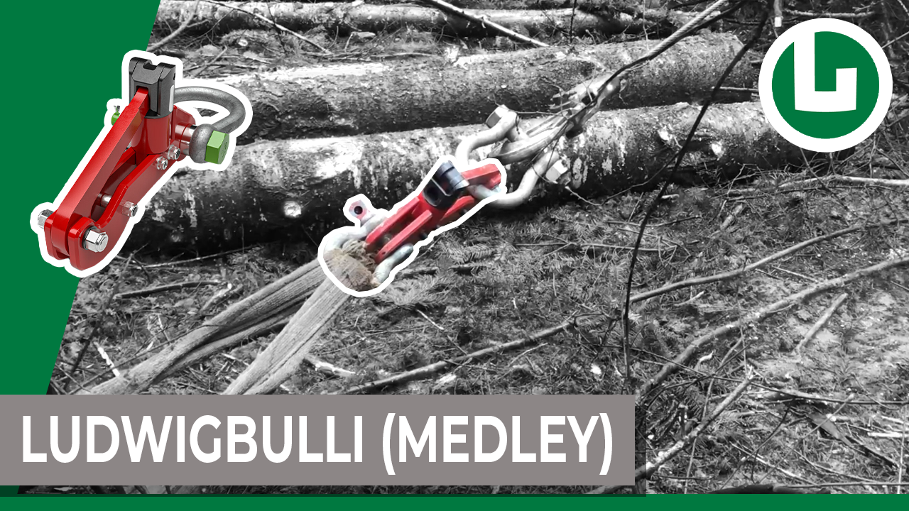 Forst: Ludwig Bulli im Einsatz in Chile am Forwarder