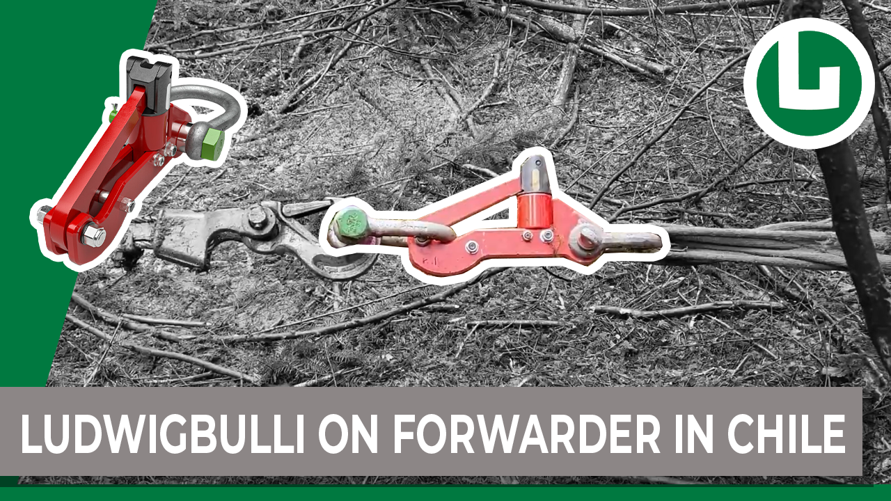 Forst: Ludwig Bulli im Einsatz in Chile am Forwarder